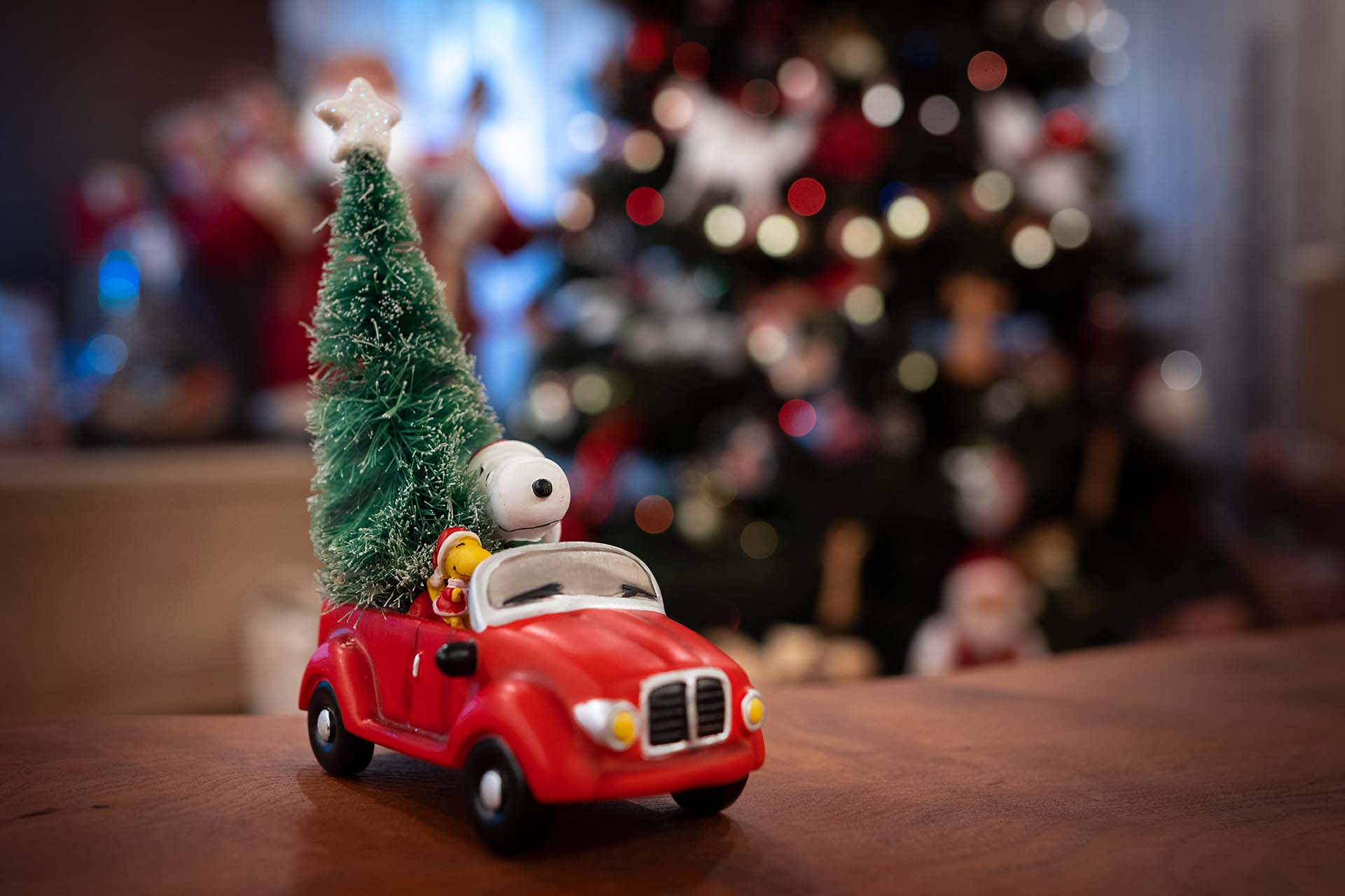 Snoopy driving a car with a christmas tree on the trunk.